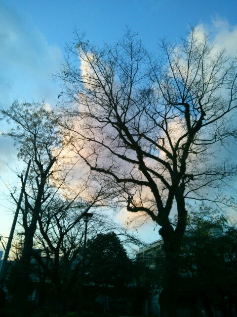 f:id:nonamed:20160103005430j:plain