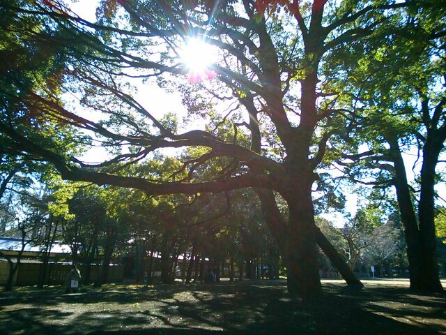 f:id:nonamed:20160203195600j:plain