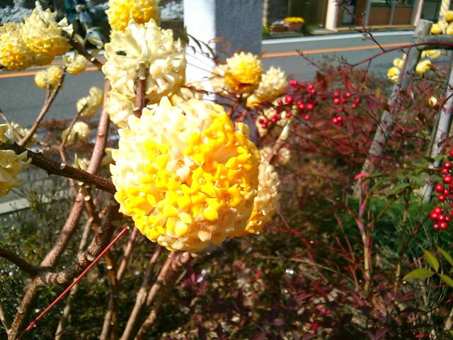 f:id:nonamed:20160308204902j:plain f:id:nonamed:20160308204902j:plain
