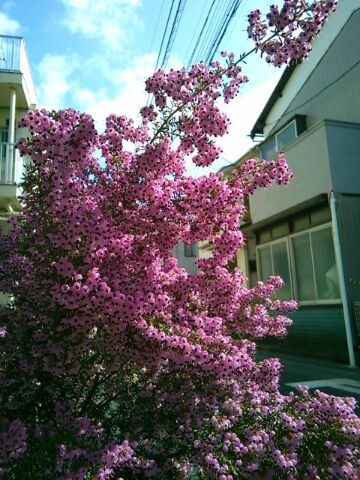 f:id:nonamed:20160308204956j:plain f:id:nonamed:20160308204956j:plain