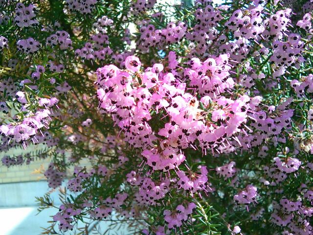 f:id:nonamed:20160308205007j:plain f:id:nonamed:20160308205007j:plain