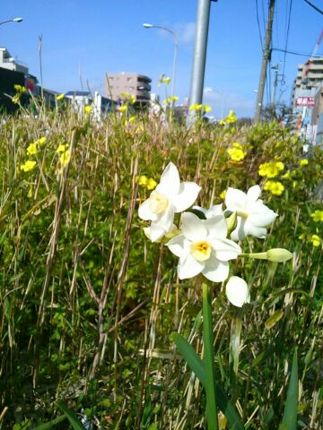 f:id:nonamed:20160308205017j:plain f:id:nonamed:20160308205017j:plain