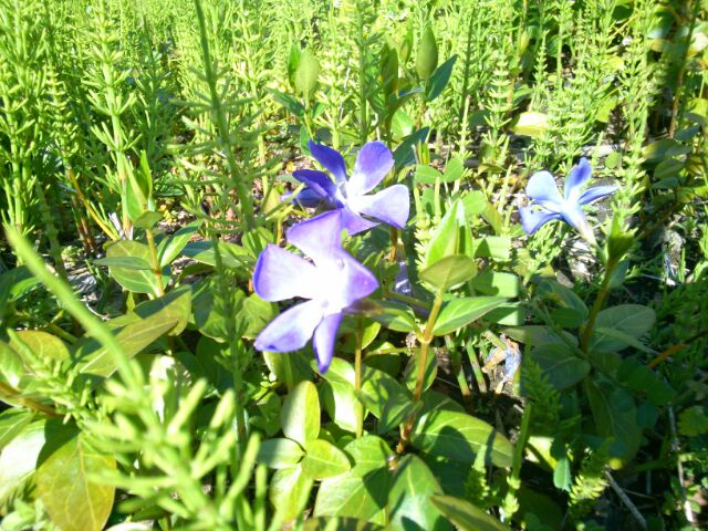f:id:nonamed:20160315184837j:plain