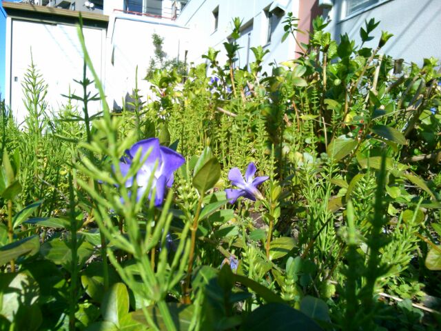 f:id:nonamed:20160315184851j:plain
