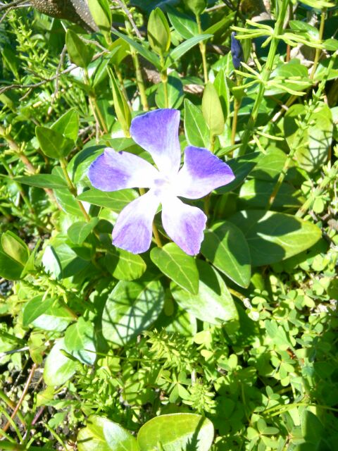 f:id:nonamed:20160315184905j:plain