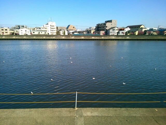 f:id:nonamed:20160315184943j:plain