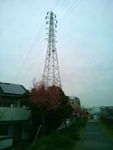 f:id:nonamed:20160316231244j:plain