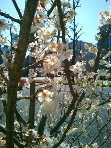 f:id:nonamed:20160318005947j:plain