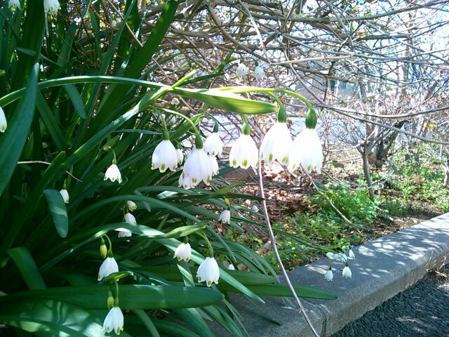 f:id:nonamed:20160318010016j:plain