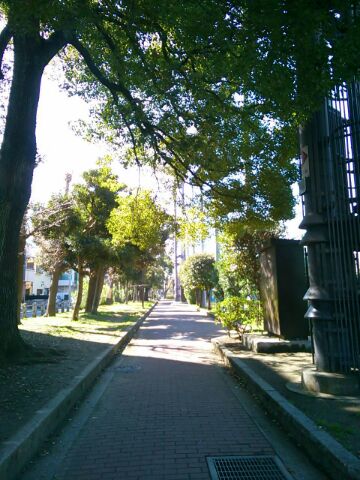 f:id:nonamed:20160318215919j:plain