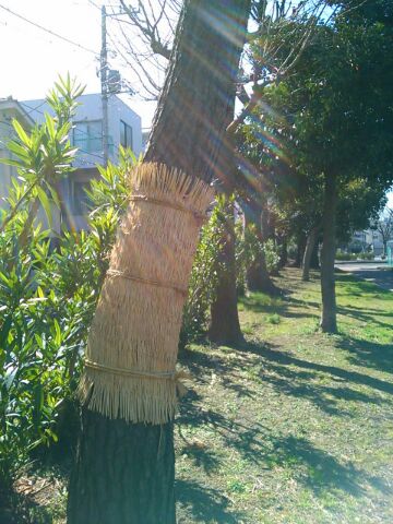 f:id:nonamed:20160318215932j:plain