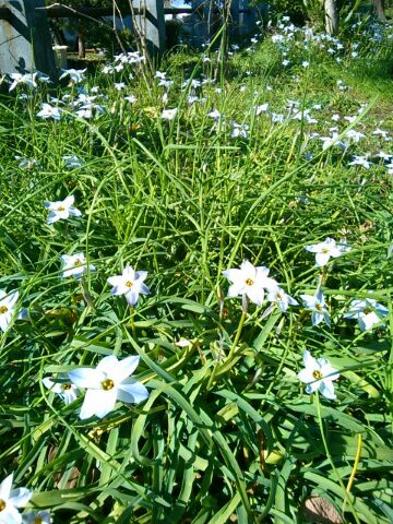 f:id:nonamed:20160318215954j:plain