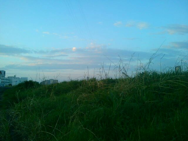 f:id:nonamed:20160320002057j:plain