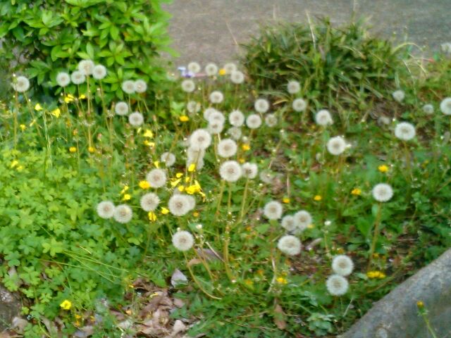 f:id:nonamed:20160420144930j:plain f:id:nonamed:20160420144930j:plain
