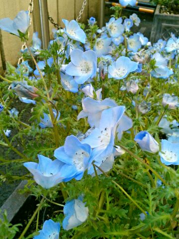 f:id:nonamed:20160420145018j:plain f:id:nonamed:20160420145018j:plain