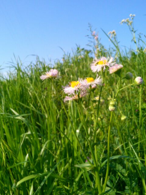 f:id:nonamed:20160420145721j:plain f:id:nonamed:20160420145721j:plain