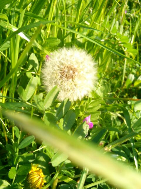 f:id:nonamed:20160420145805j:plain f:id:nonamed:20160420145805j:plain