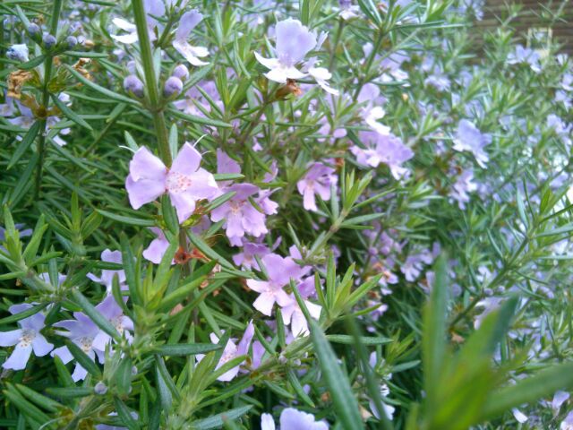 f:id:nonamed:20160424230152j:plain