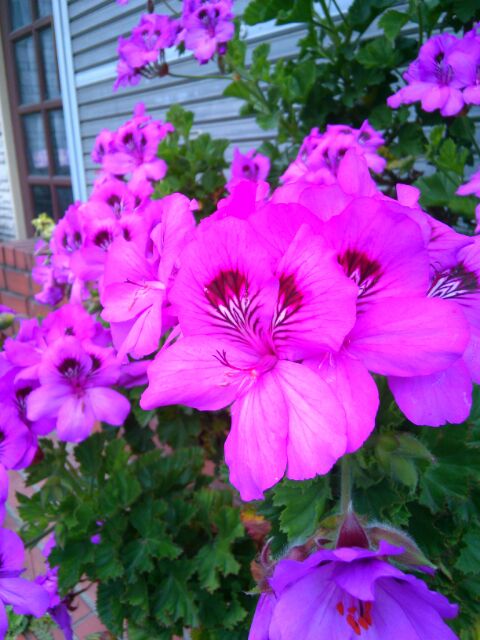 f:id:nonamed:20160424230214j:plain