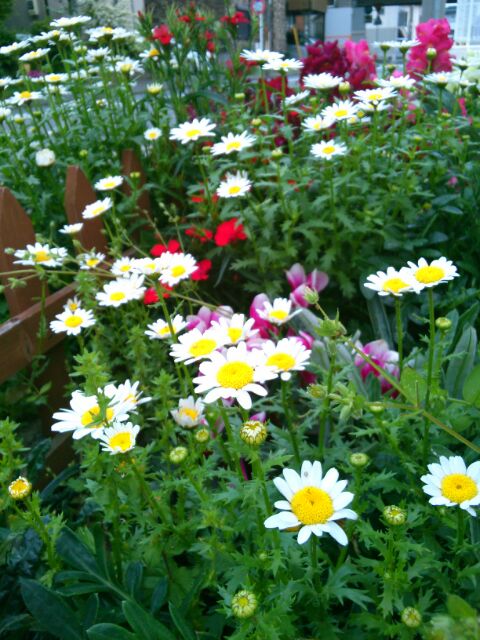 f:id:nonamed:20160424230249j:plain