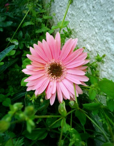 f:id:nonamed:20160424230256j:plain