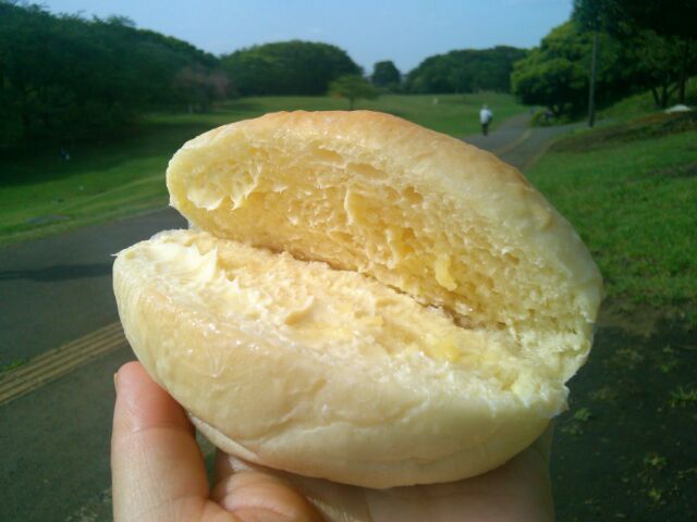 f:id:nonamed:20160427010338j:plain