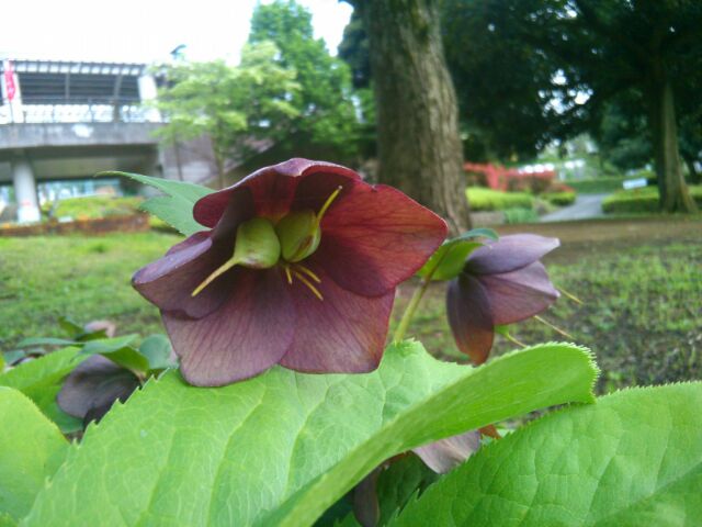 f:id:nonamed:20160428111753j:plain f:id:nonamed:20160428111753j:plain