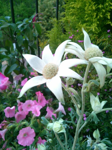 f:id:nonamed:20160428111823j:plain f:id:nonamed:20160428111823j:plain