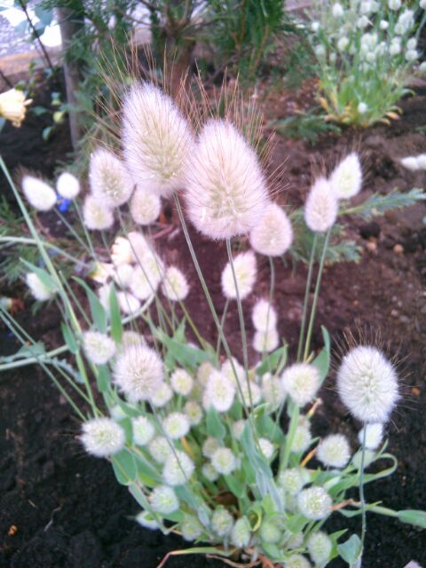 f:id:nonamed:20160428111903j:plain f:id:nonamed:20160428111903j:plain