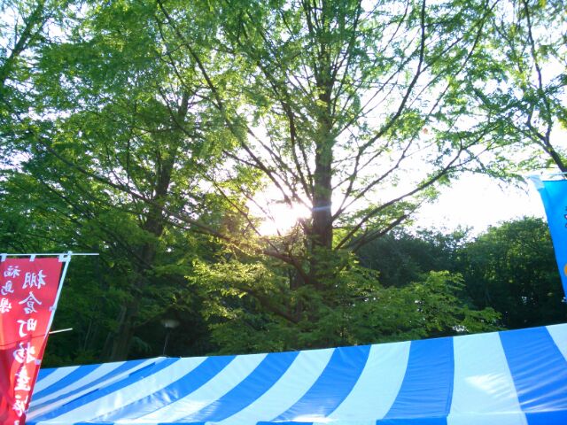 f:id:nonamed:20160516095436j:plain f:id:nonamed:20160516095436j:plain