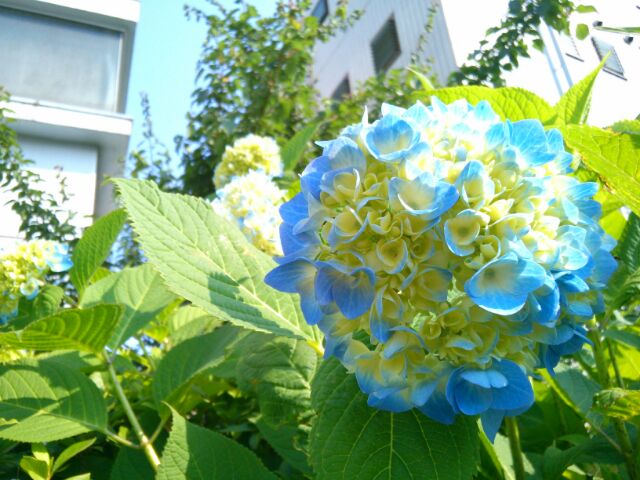 f:id:nonamed:20160523095240j:plain