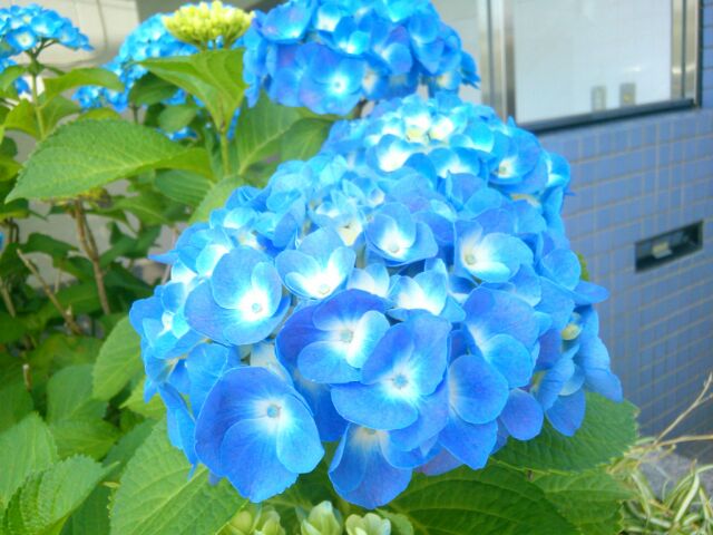 f:id:nonamed:20160527234141j:plain