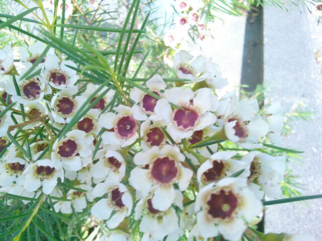 f:id:nonamed:20160527234541j:plain