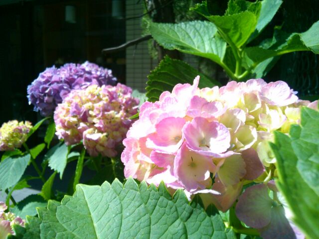 f:id:nonamed:20160527234632j:plain