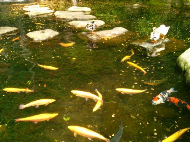 f:id:nonamed:20160612003114j:plain