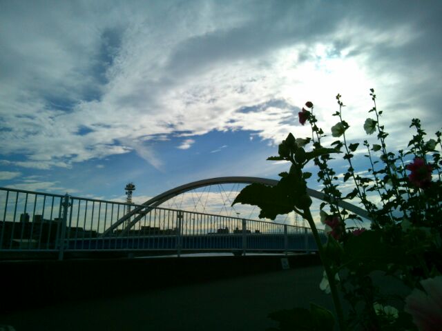 f:id:nonamed:20160618004928j:plain