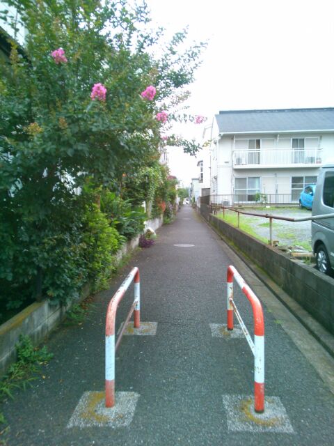 f:id:nonamed:20160701235016j:plain f:id:nonamed:20160701235016j:plain