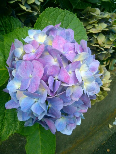 f:id:nonamed:20160701235244j:plain f:id:nonamed:20160701235244j:plain