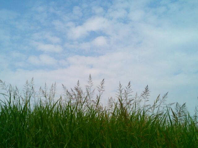 f:id:nonamed:20160702162925j:plain