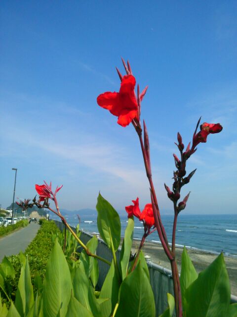 f:id:nonamed:20160712171718j:plain