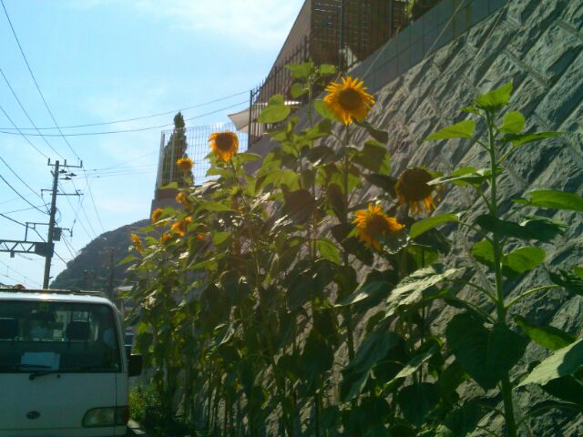 f:id:nonamed:20160712173505j:plain