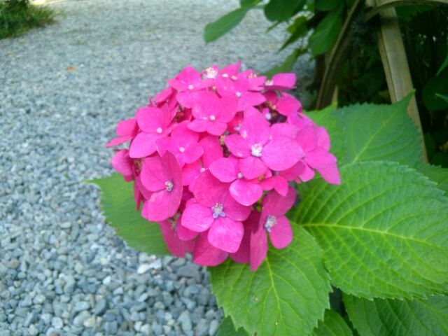 f:id:nonamed:20160713091838j:plain