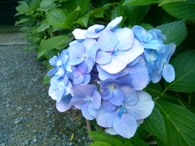 f:id:nonamed:20160713091859j:plain