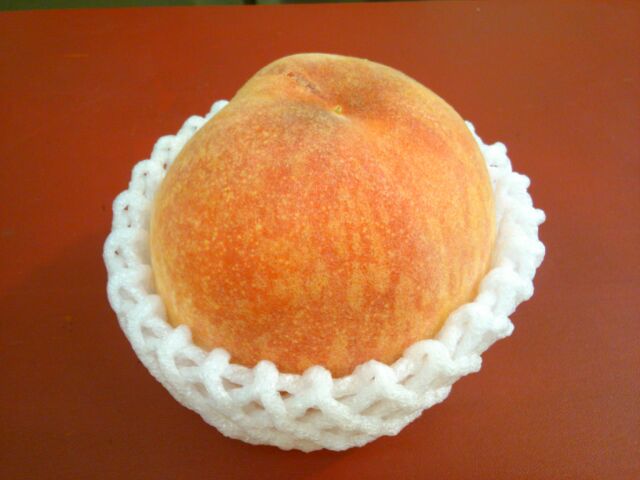 f:id:nonamed:20160813231144j:plain f:id:nonamed:20160813231144j:plain
