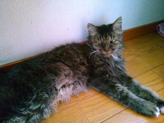 f:id:nonamed:20160814214105j:plain