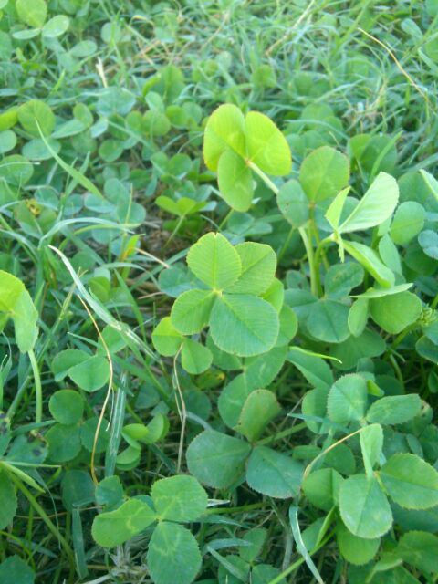 f:id:nonamed:20160905082628j:plain