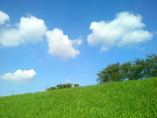 f:id:nonamed:20160905082715j:plain