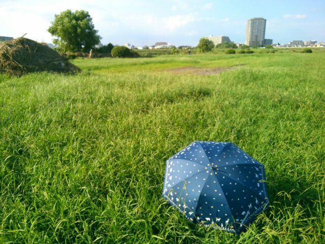 f:id:nonamed:20160905083001j:plain