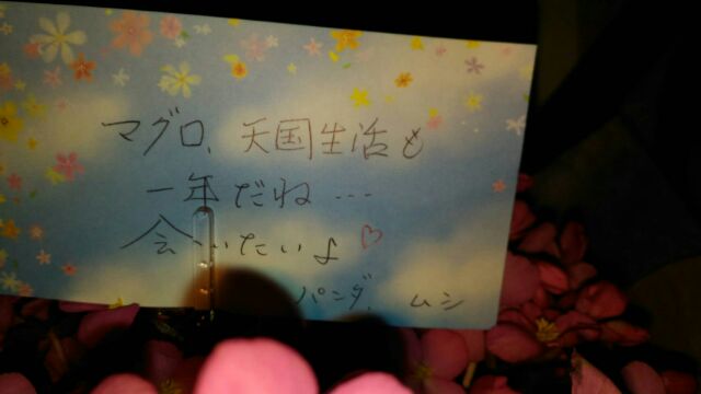 f:id:nonamed:20161005085223j:plain