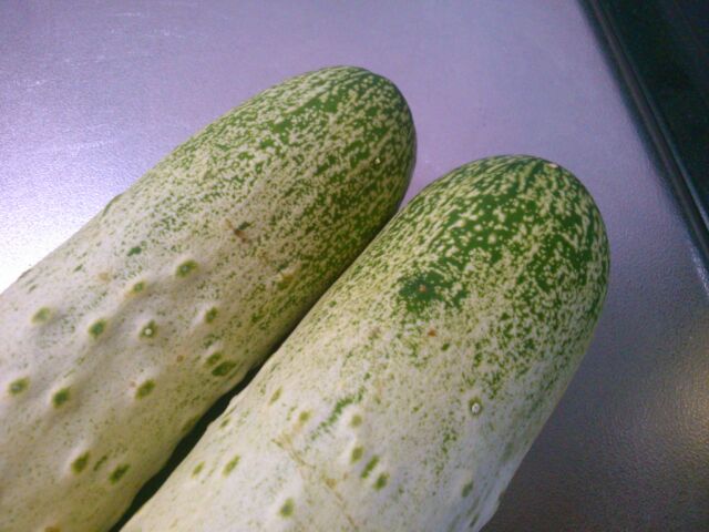 f:id:nonamed:20161011043717j:plain